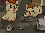 Miyavfia Sonsuz Evrim